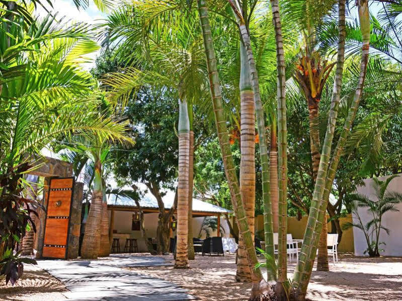 Отель La Margarita Пуант-о-Пиман Экстерьер фото
